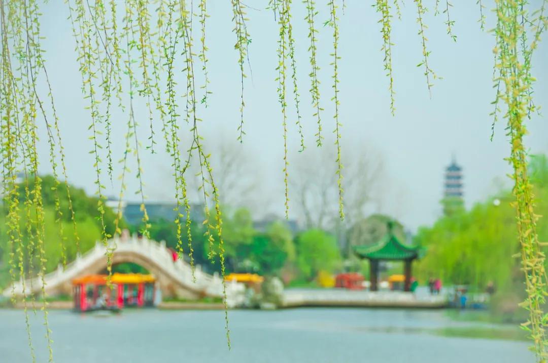 现在的半价优惠,免费半价会一起来吗