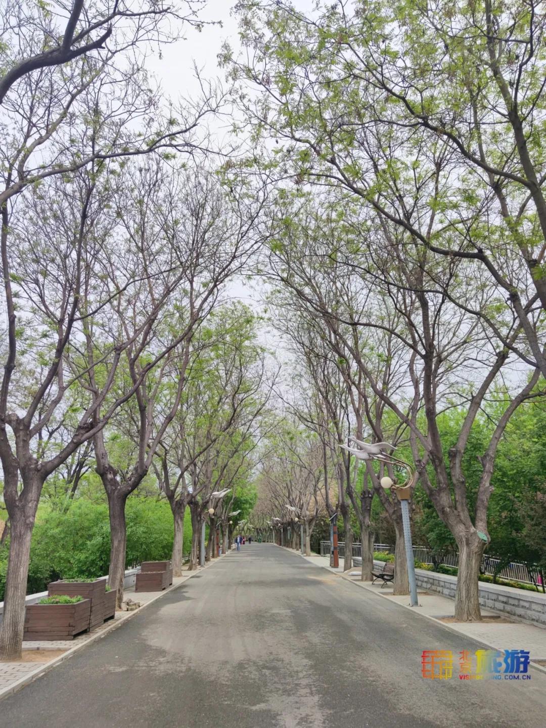 观日落的最佳世界名胜景点,中国旅游景点看日落的好地方