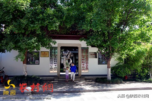 宝鸡东岭西部第一村,陕西宝鸡东岭村简介