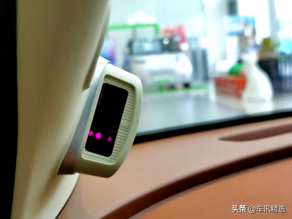 这有一只“好猫”登陆厦门，欢迎来“撸”