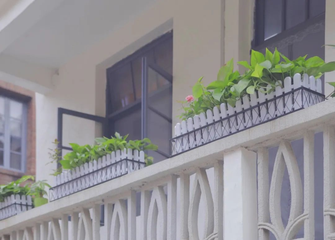 烟台山秋游,烟台夏夜的烟台山