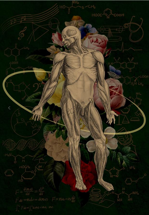 简单易画的人体解剖图,灵魂画手美术生