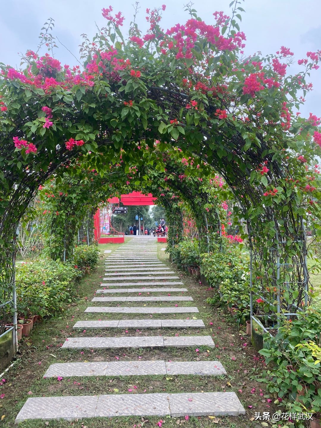 武汉花博汇一天游玩大概多少钱,武汉花博汇值不值得玩
