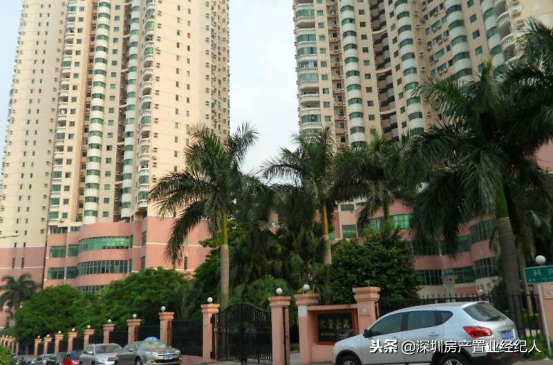 南山几大学位名校你该如何选择，学位刚需末班车时机来临