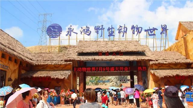 冬天去福清野生动物园,福建省福清永鸿野生动物园