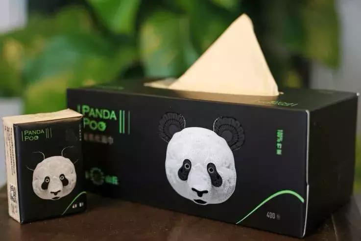 为什么大熊猫一定要吃竹子,为什么大熊猫现在在吃竹子