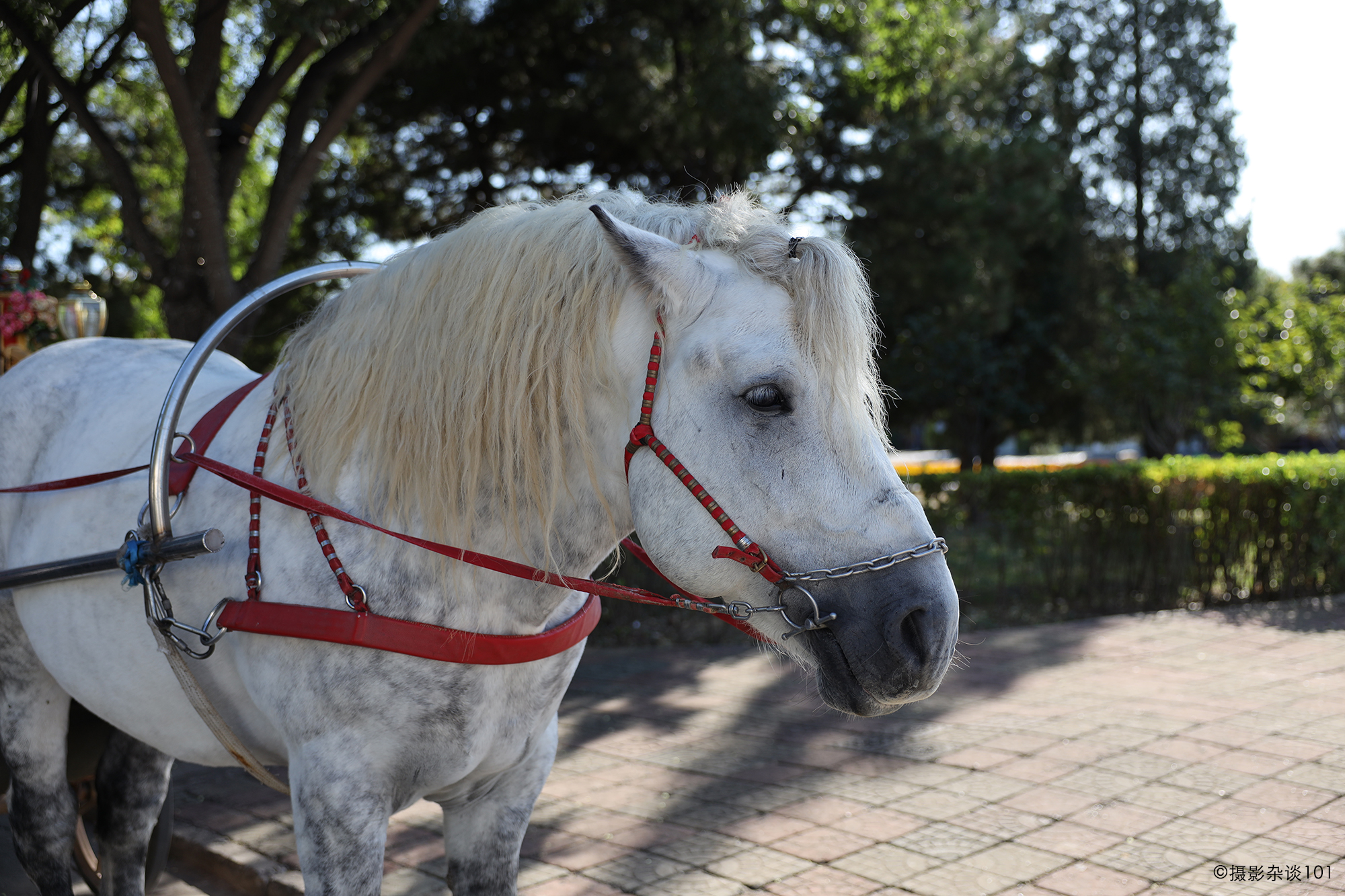 浣宠兘rf24-70f2.8闀滃ご鍊间笉鍊煎緱鍏ユ墜,浣宠兘rf24-70f2.8闀滃ご璇勬祴