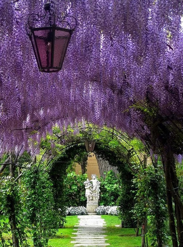 庭院植物设计搭配方法,庭院设计花草搭配