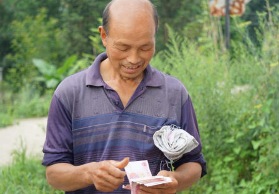 农村最赚钱的种植项目有哪些,现在农村做什么种植最赚钱最稳