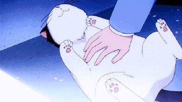 狗狗和狗狗会聊天吗,如何向猫咪表达爱意