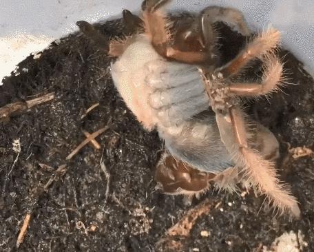 好奇宝宝会问的问题,好奇宝宝每日三问