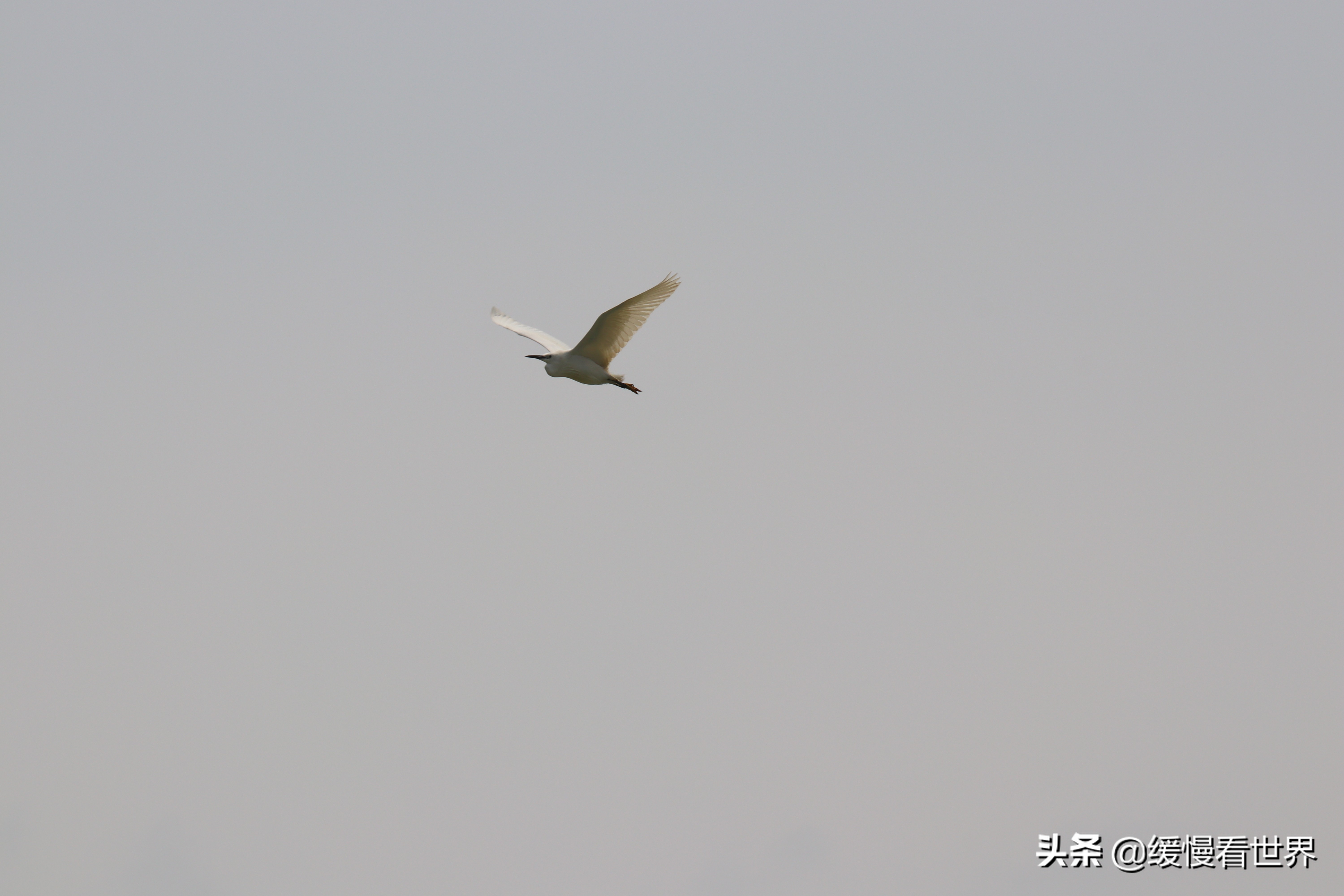 虎门威远炮台海战博物馆,虎门海战博物馆离威远炮台远吗