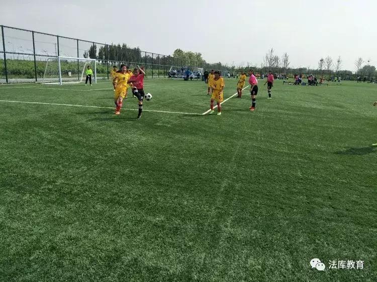 2019年沈阳市青少年校园足球比赛,2019辽宁省青少年足球锦标赛