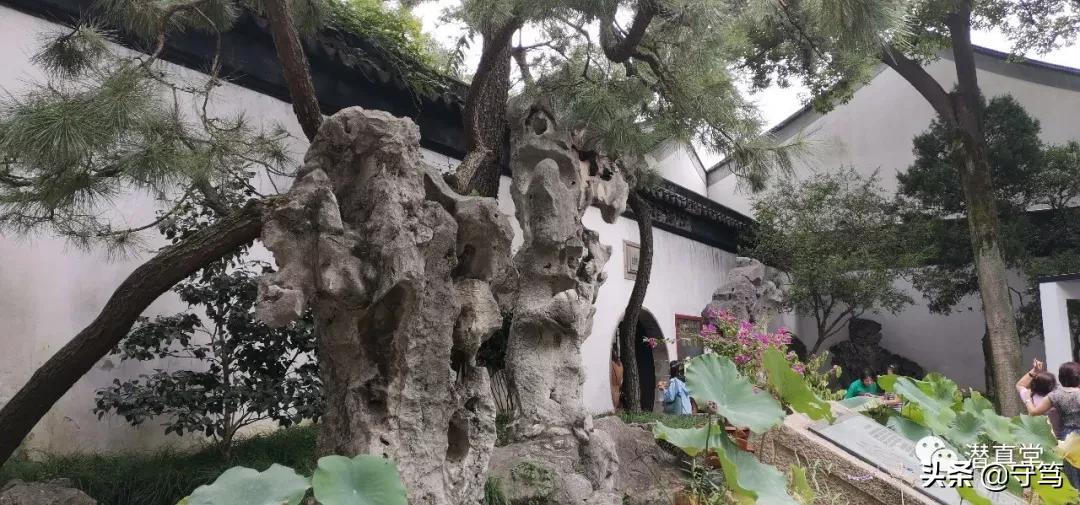 苏州园林一日游最佳攻略,苏州园林旅行攻略三日游