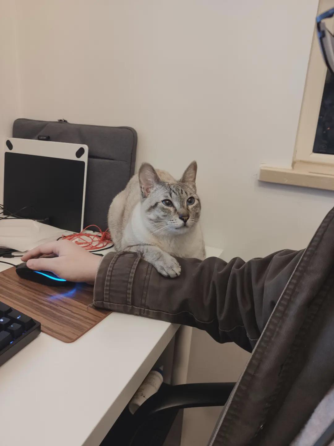 一个人做的游戏是什么,一个人做的游戏