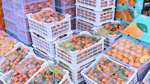 年货干货推荐,郑州值得买的年货