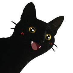 黑猫真的能看到人看不到的东西吗,黑猫真的有那么可怕吗