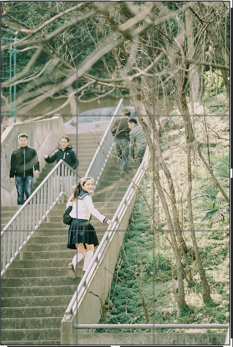 苹果手机摄影自学入门,拍照摄影入门教程自学