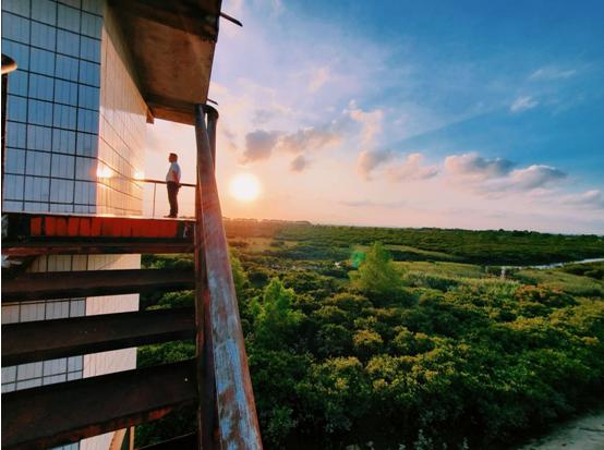 广西钦州碧桂园红树湾房价,钦州市碧桂园红树湾6号楼80平
