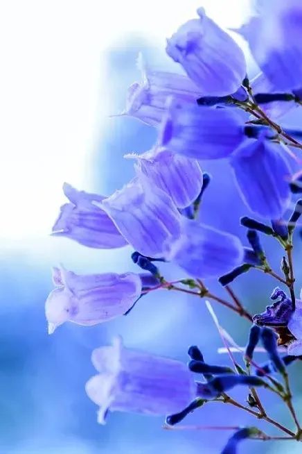 行走烟台市,行走烟台山