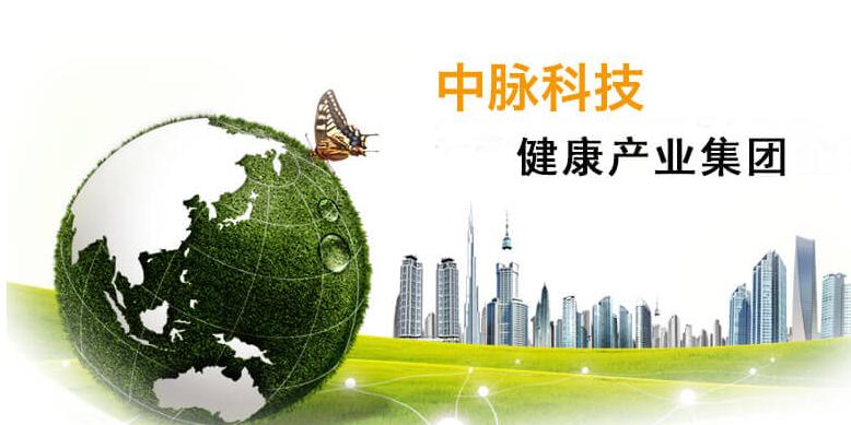 中脉传销案件,中脉传销案