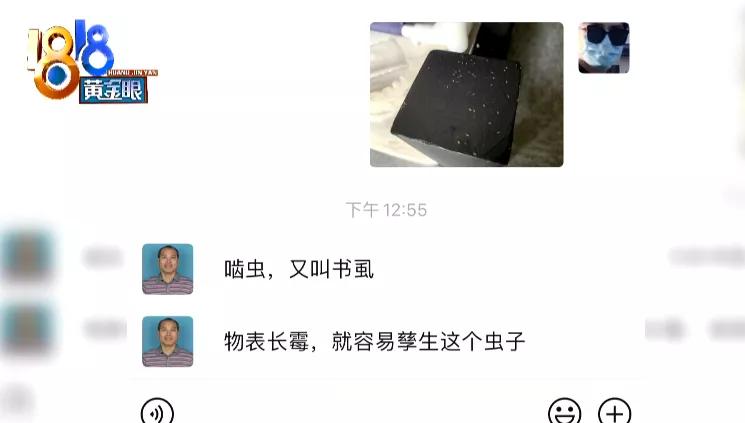 床上出现褐色小虫子书虱,背上长满小疙瘩是螨虫的房子吗