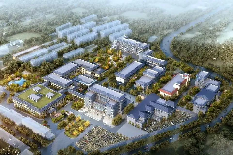 中建八局甘肃分公司中标公告,中建八局陕西最新中标项目