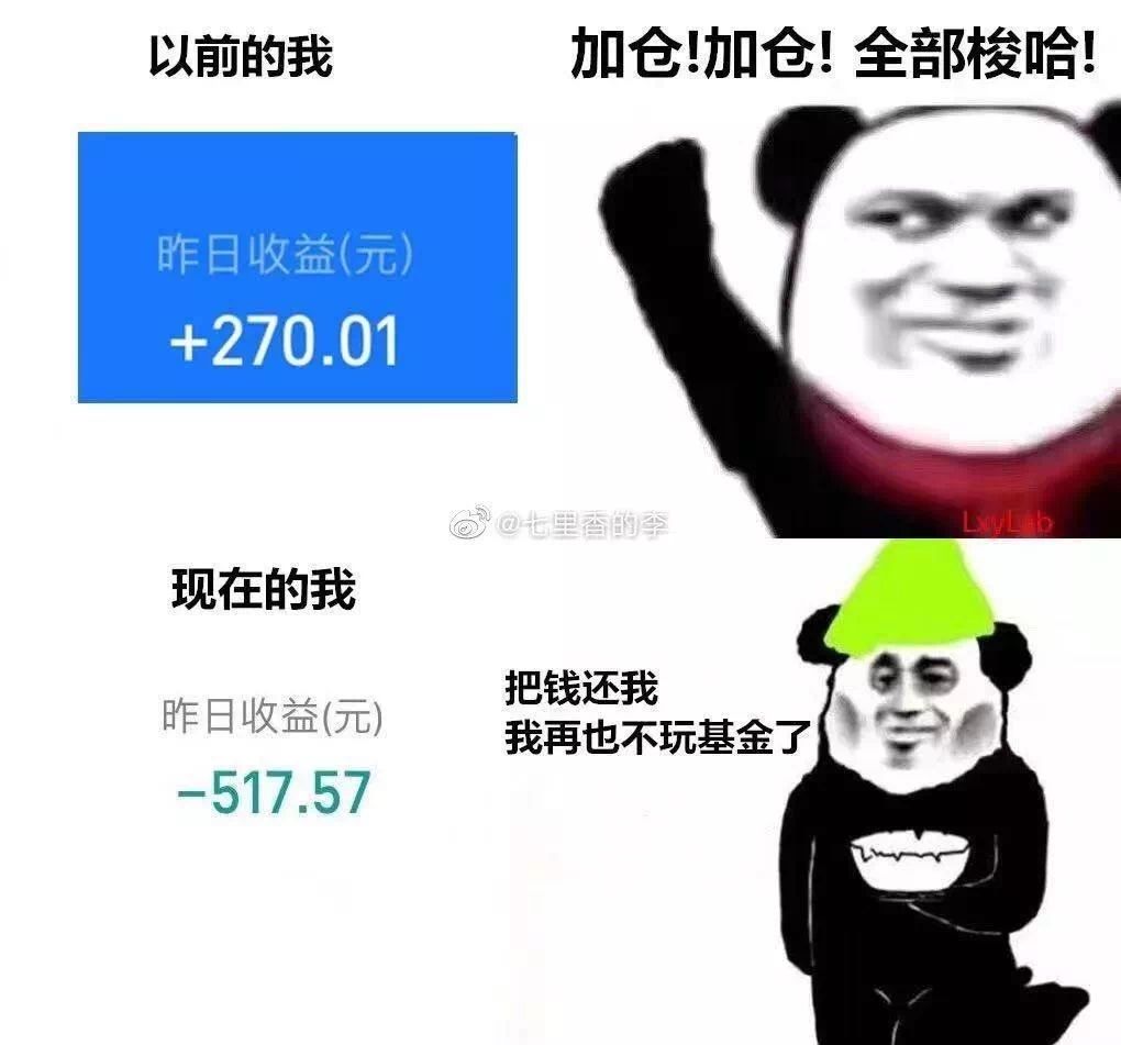 股票大跌段子,股票基金大跌的幽默句子