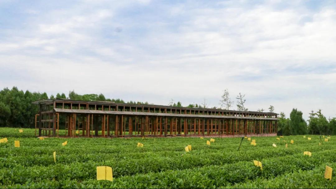 生活在日照是什么感觉,生活在日照就是幸福征文800字