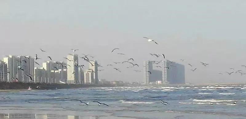 看正版杜梨儿的亲历，评价一下龙口海景房是鬼城还是天堂！