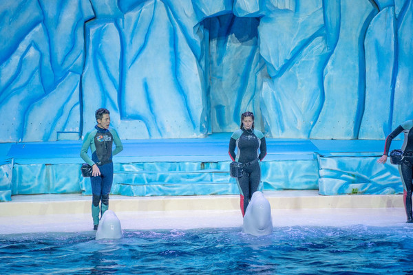 珠海长隆旅游攻略一天自由行,珠海长隆旅游攻略三天自由行