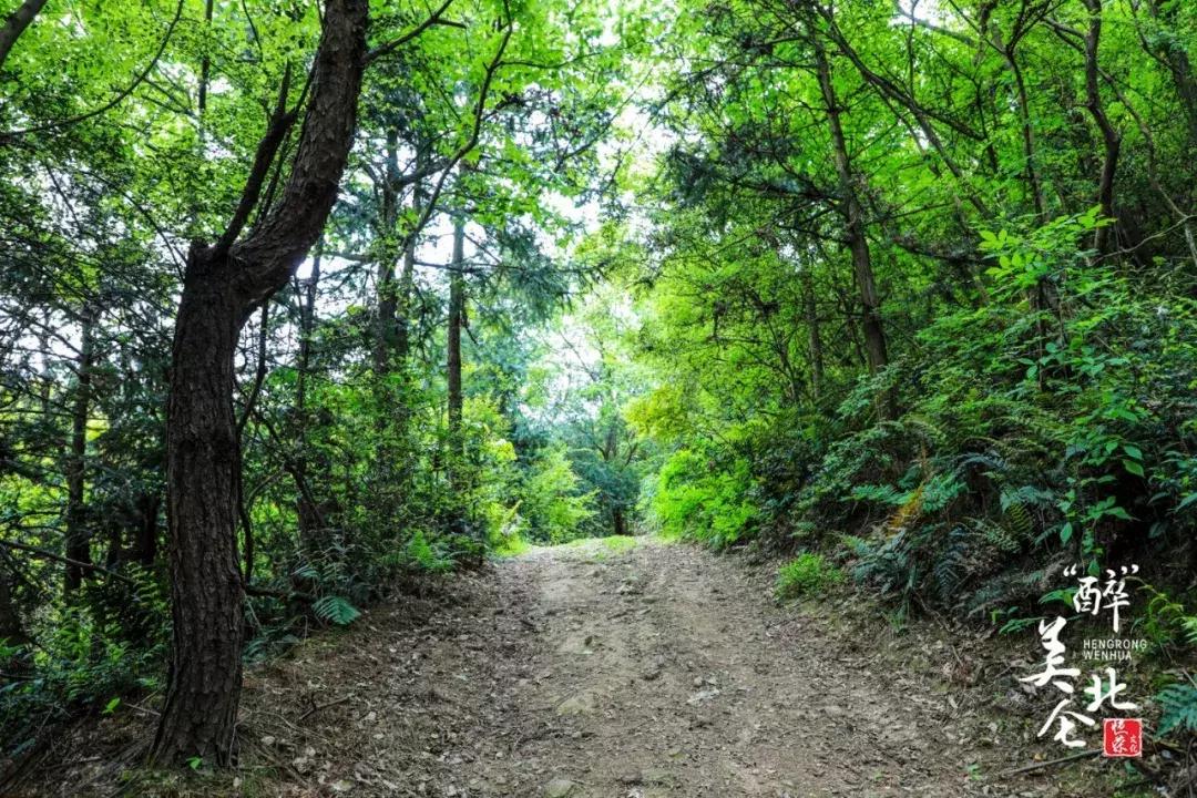 北仑摩天轮俯瞰北仑,可俯瞰北仑