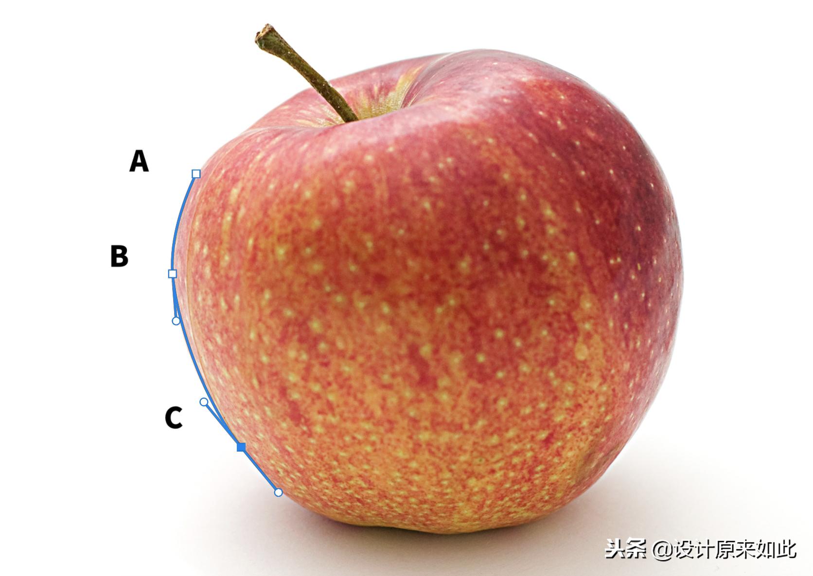 ps钢笔工具抠图教程详细步骤,苹果电脑ps钢笔工具怎么抠图