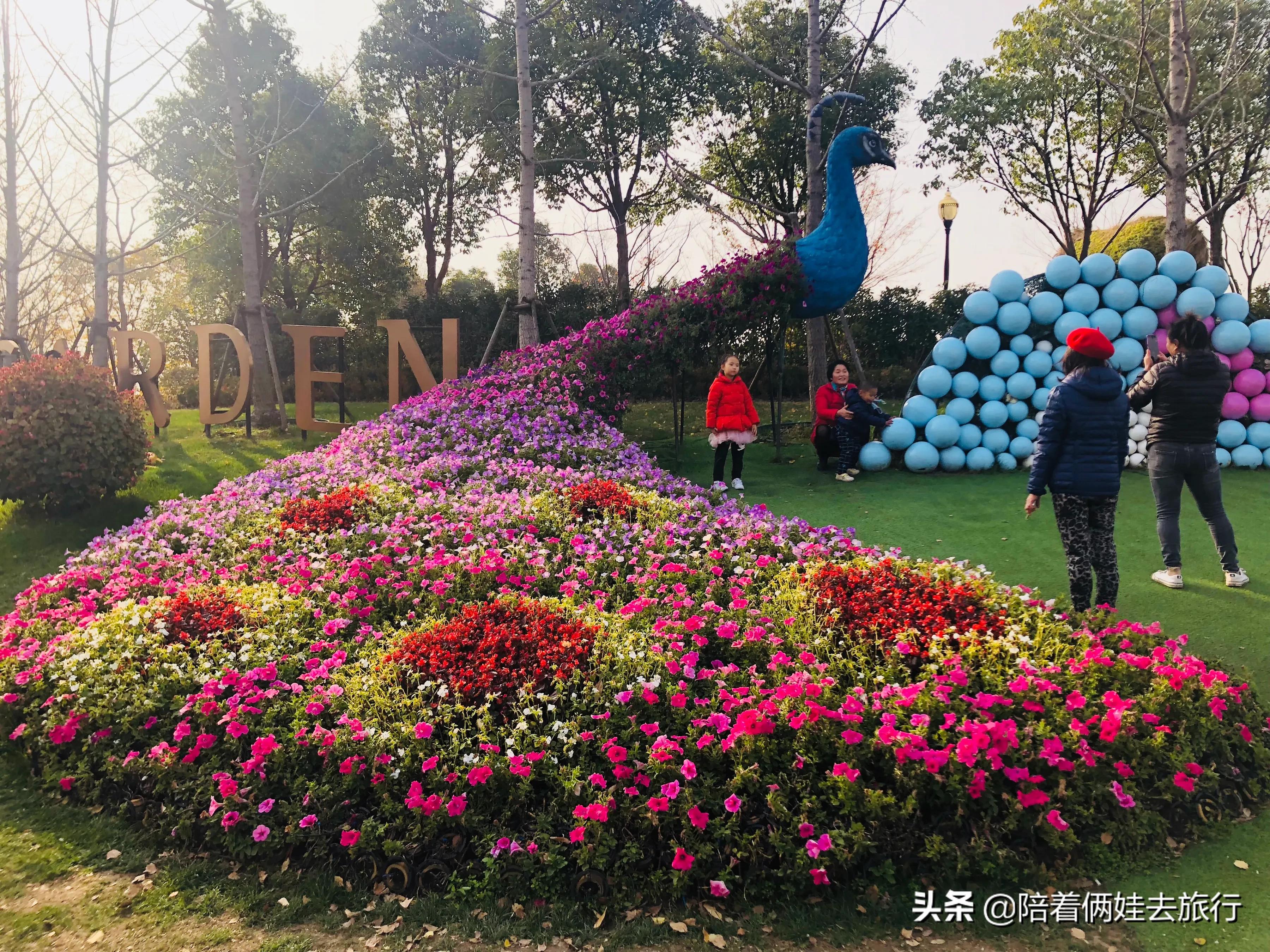 上海浦江郊野公园一日游攻略大全,上海浦江郊野公园奇迹花园地图