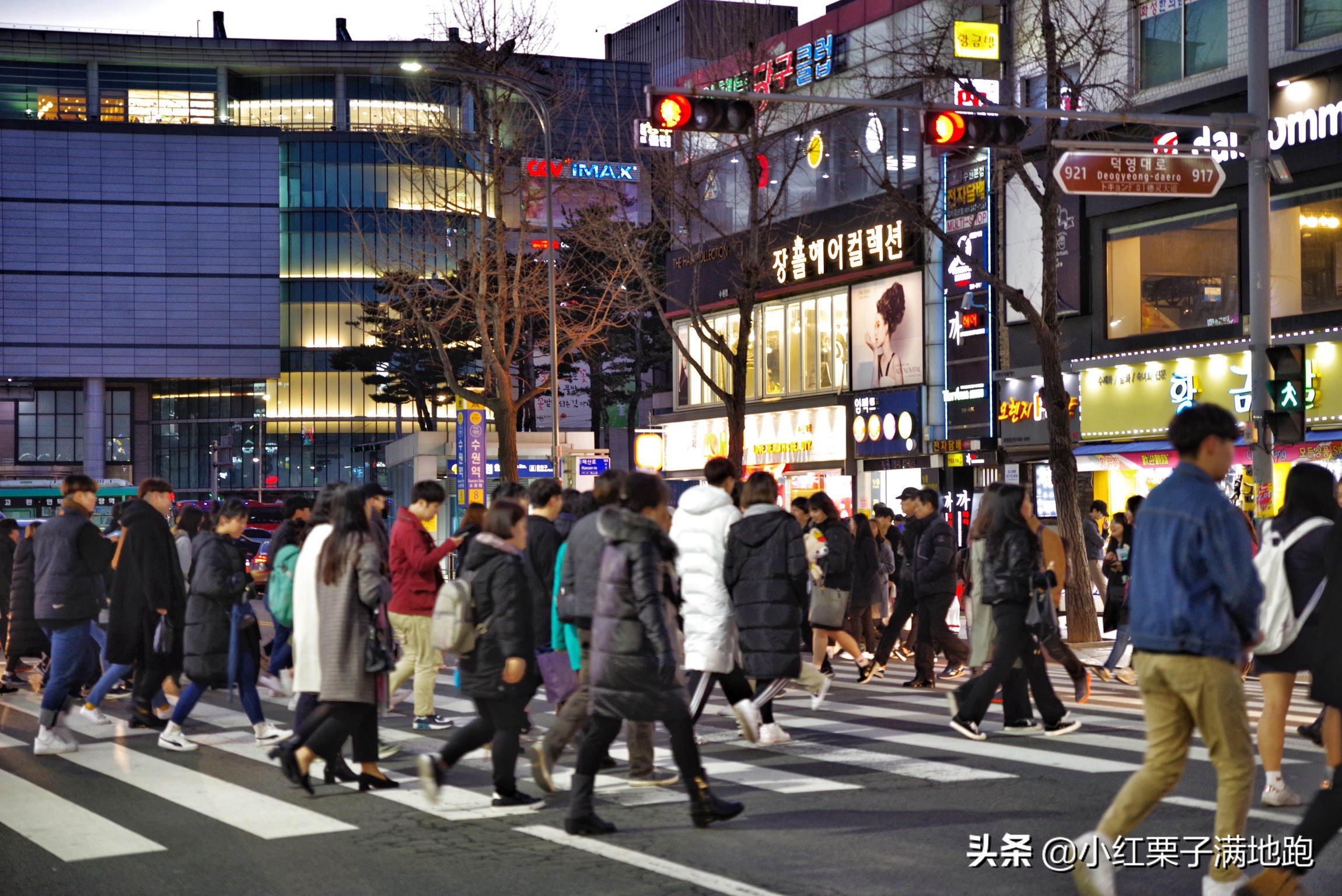 疫散花开张家界,疫散花开欢迎归来