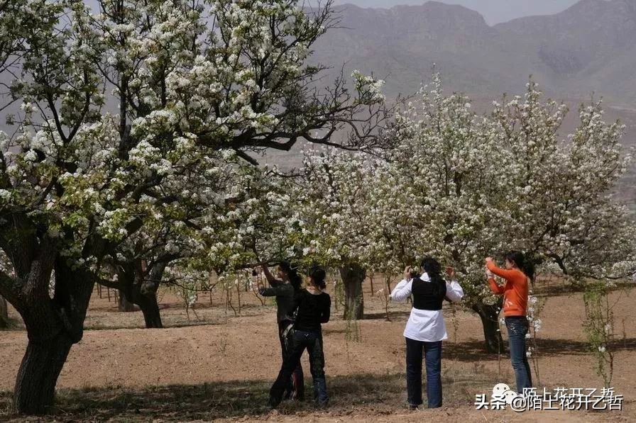 保险这条取经路，成就了多少铿锵玫瑰？