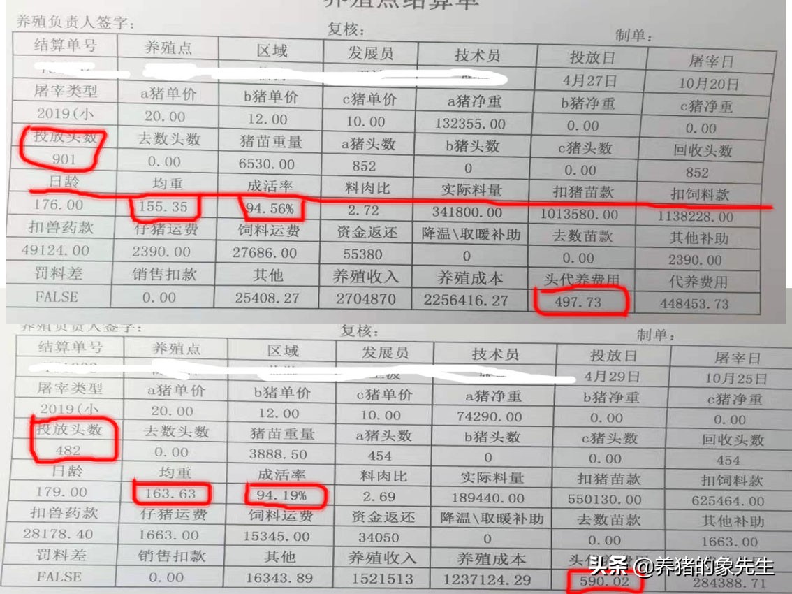 合同养猪赚钱吗,合同养猪靠谱吗