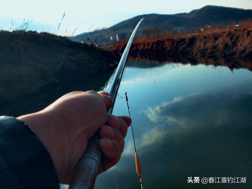 鲫鱼的钓法全部视频,钓鲫鱼高手就是厉害