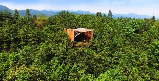 真正的森林树屋,这些树屋满足你对森林的所有幻想