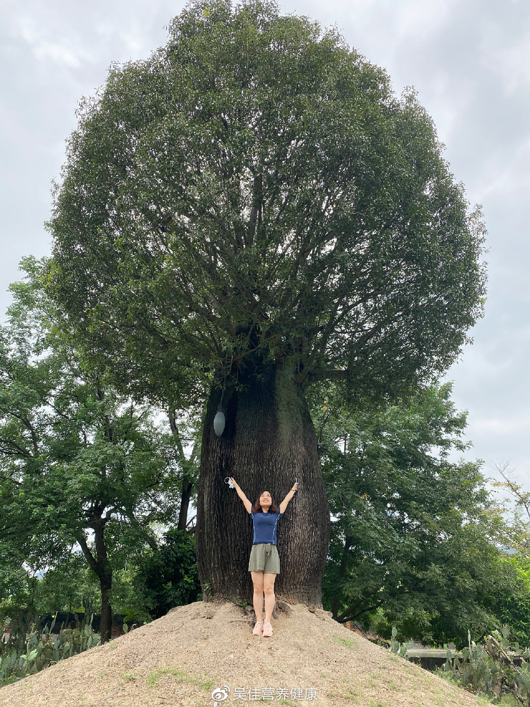 clubmed桂林攻略,clubmed一价全包加多少钱