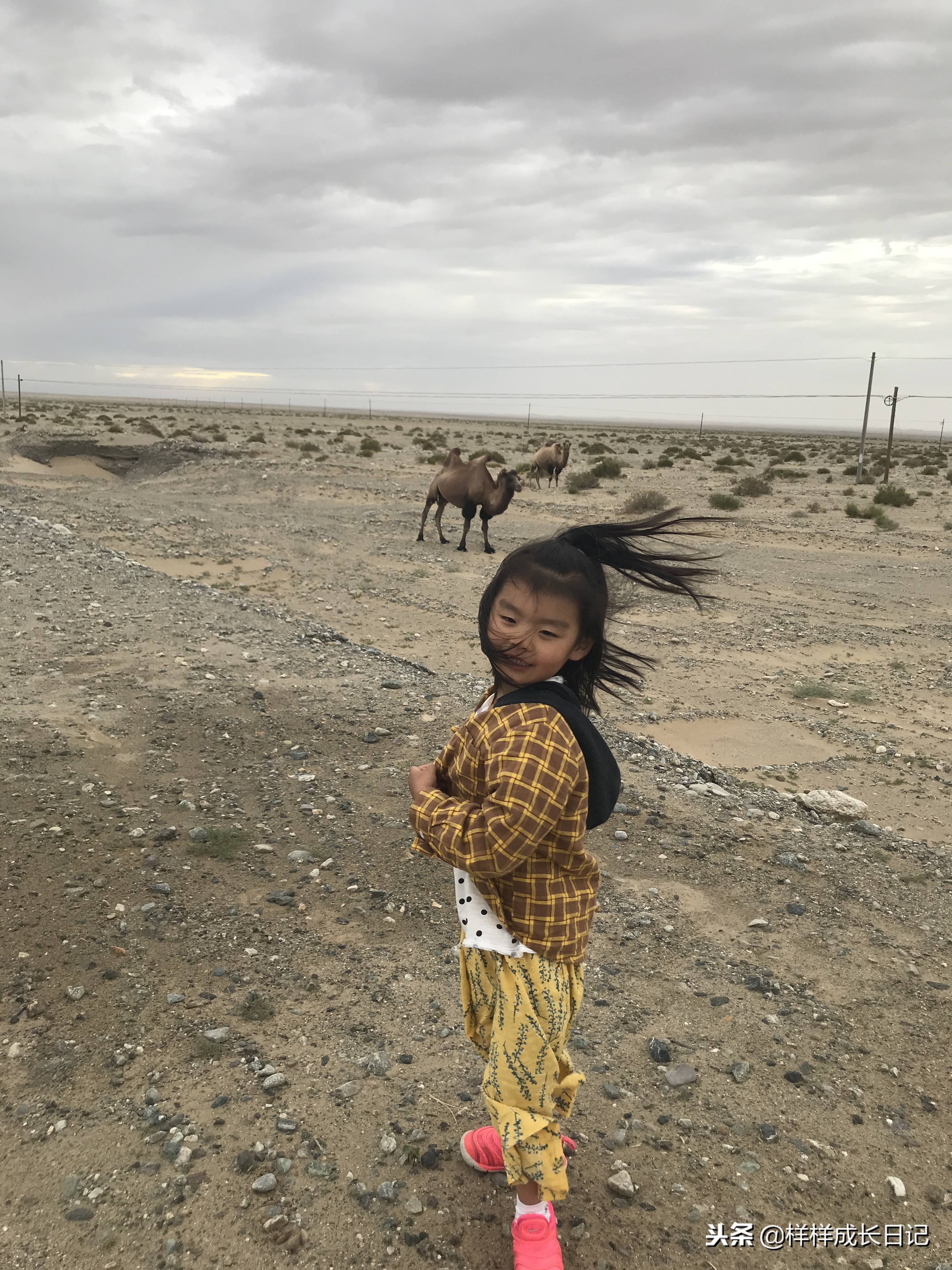 最新版新藏线叶城拉萨骑行攻略,219新藏线自驾游从叶城出发