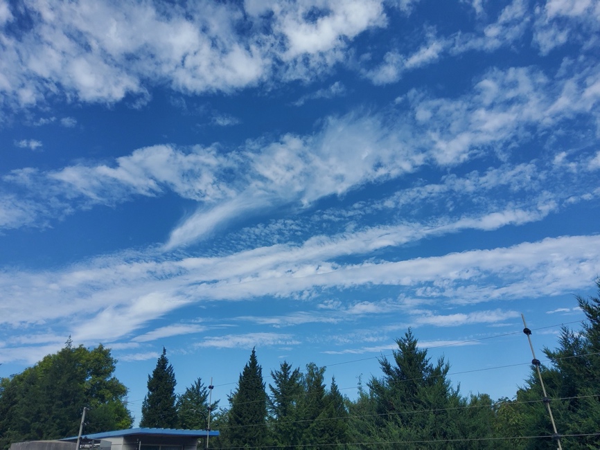 安卓最强平板三星galaxytabs7+,三星平板galaxytabs8新品预测