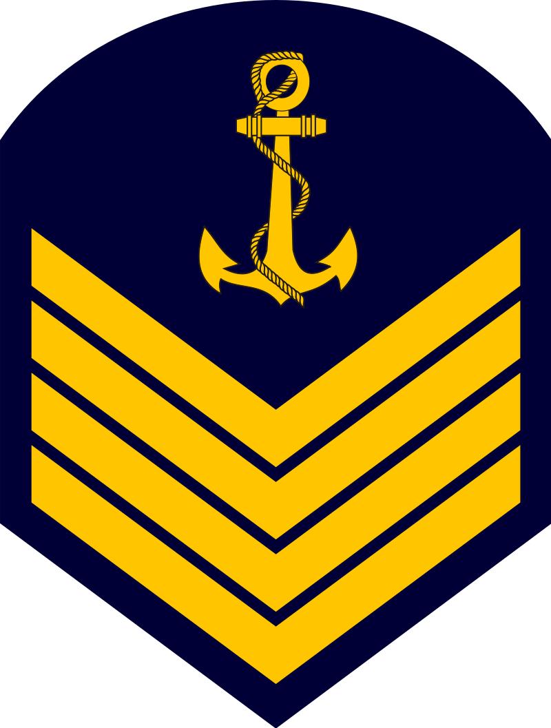 巴西军队标志,巴西海军军衔
