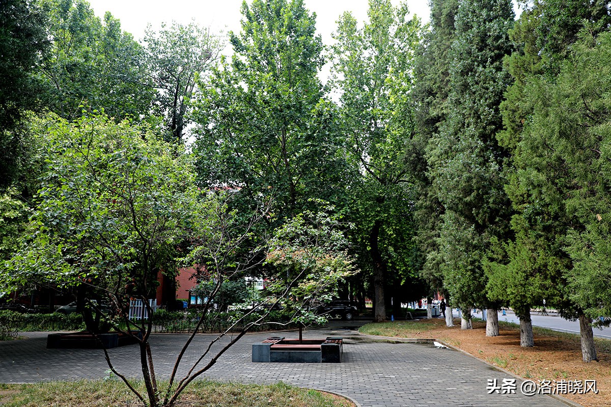 北京二外通州校区,北京二外的小语种有多好