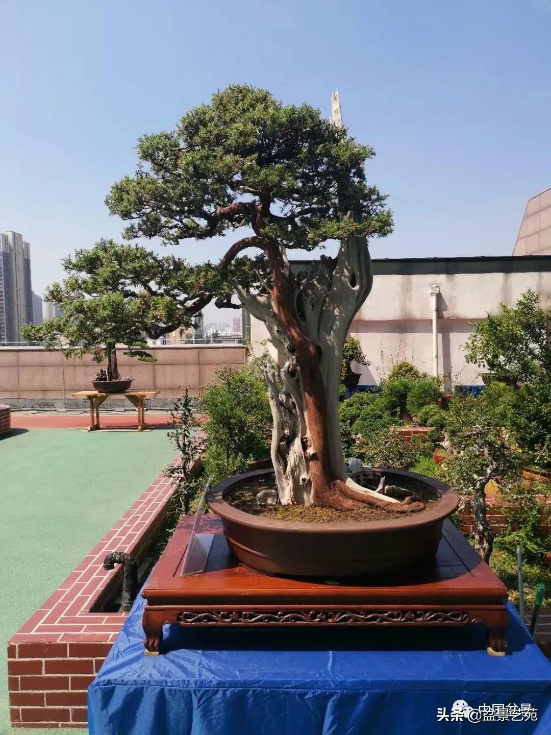 涓浗钁楀悕鐩嗘櫙澶у笀绮惧搧鐩嗘櫙,鐩嗘櫙鑹烘湳瀹跺拰鐩嗘櫙鑹烘湳澶у笀