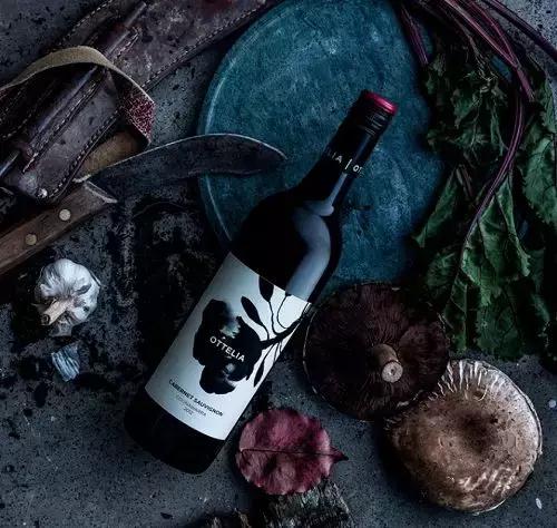 红葡萄品种葡萄酒,红葡萄品种黑皮诺