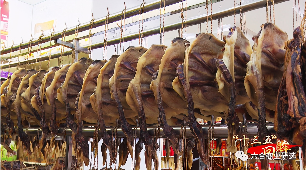 2021回乡见闻录全部视频,2023返乡见闻