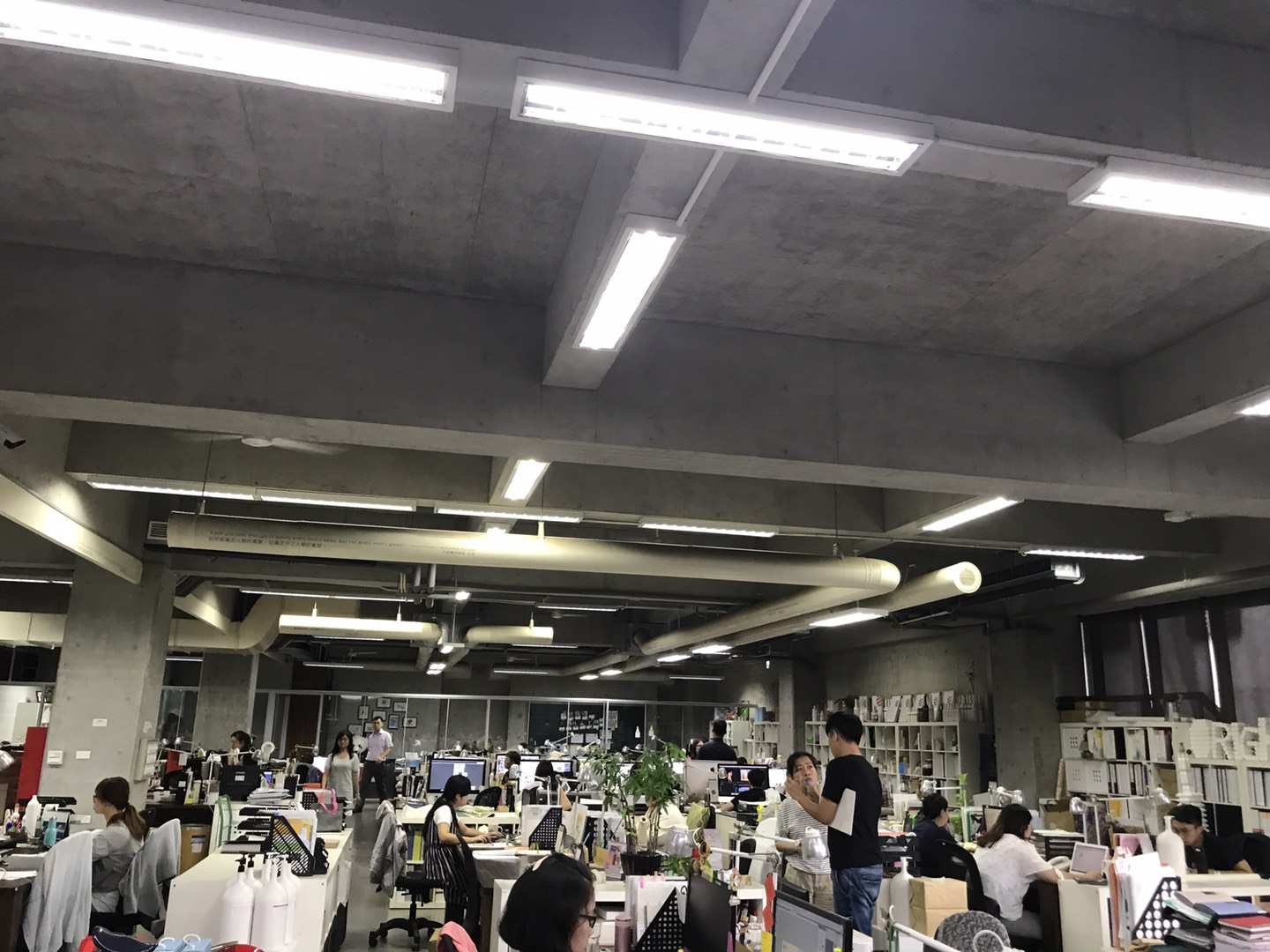 绿色的植物洗发水,绿色农场洗发水好用是真的吗