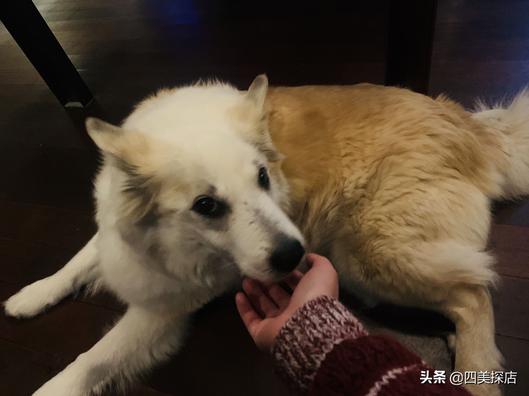 欧洲西班牙法国旅游,春节去法国瑞士旅游攻略