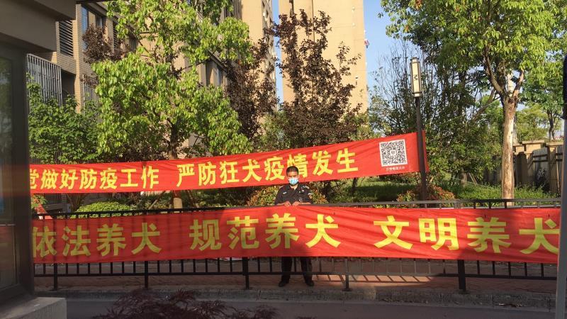 夏季犬管理整治,犬类整治